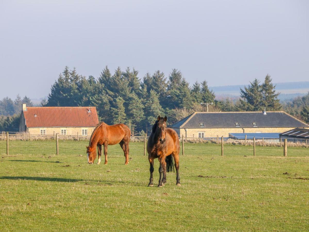 The Byre Villa Thirsk Eksteriør billede